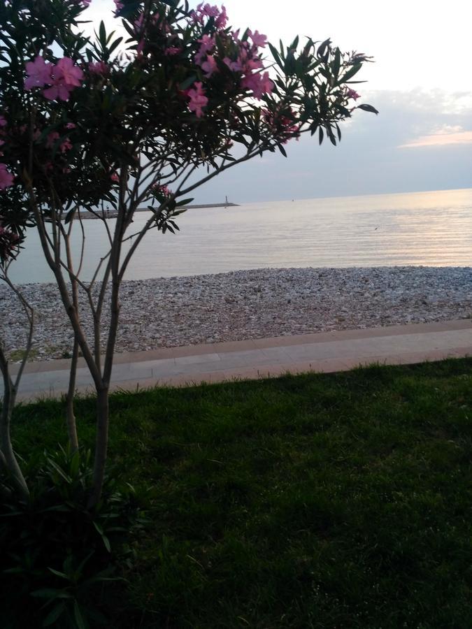 Apartmani Begovic Bar Dış mekan fotoğraf